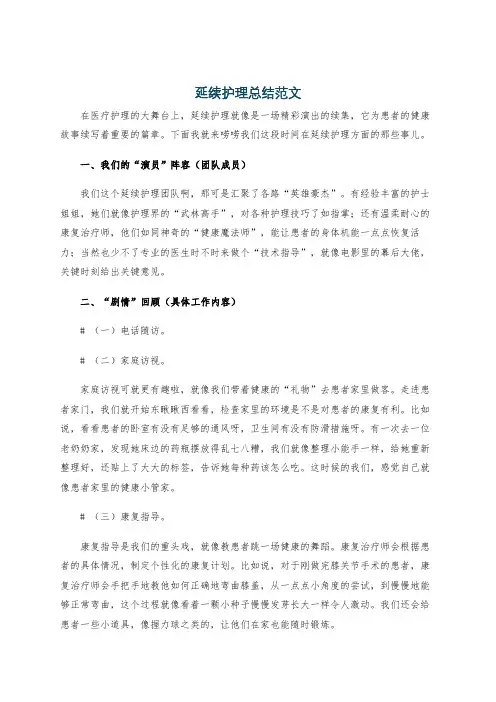 延续护理总结范文