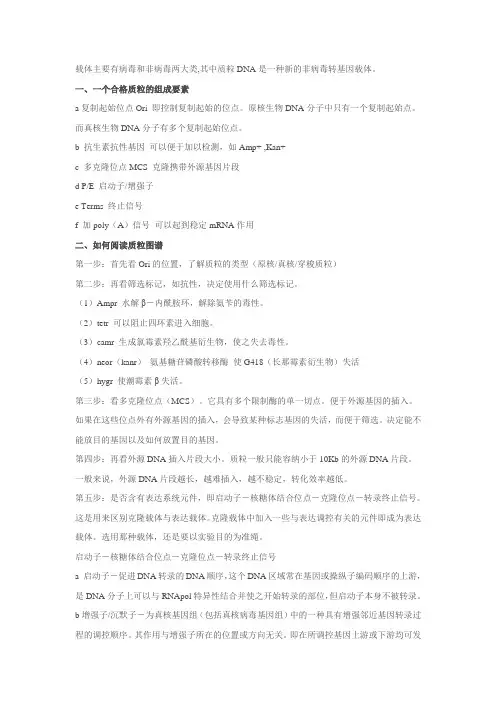 质粒载体