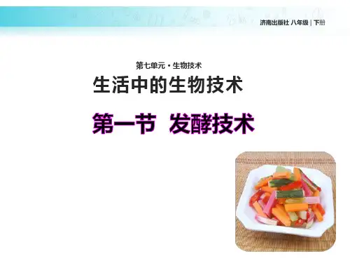 7.1.1发酵技术课件-2023--2024学年济南版生物八年级下册