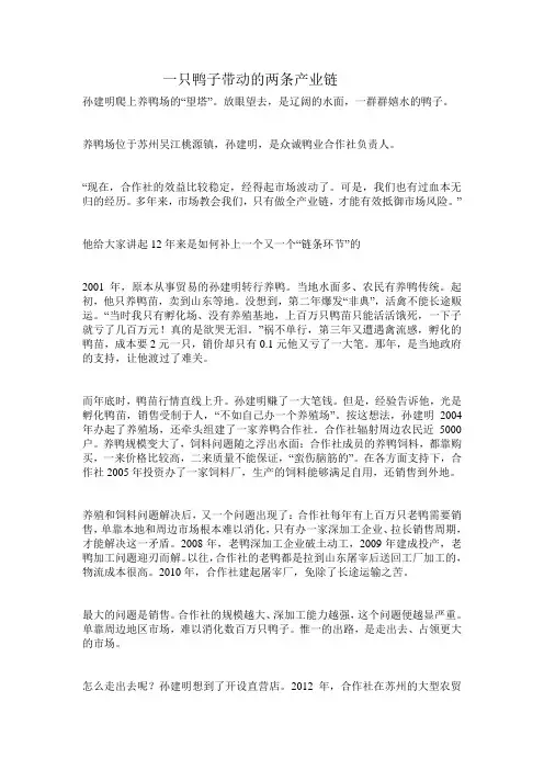 一只鸭子带动的两条产业链