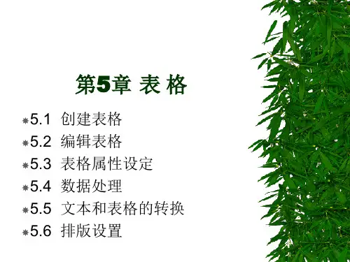 word2003-excel2003-ppt2003三合一教程5