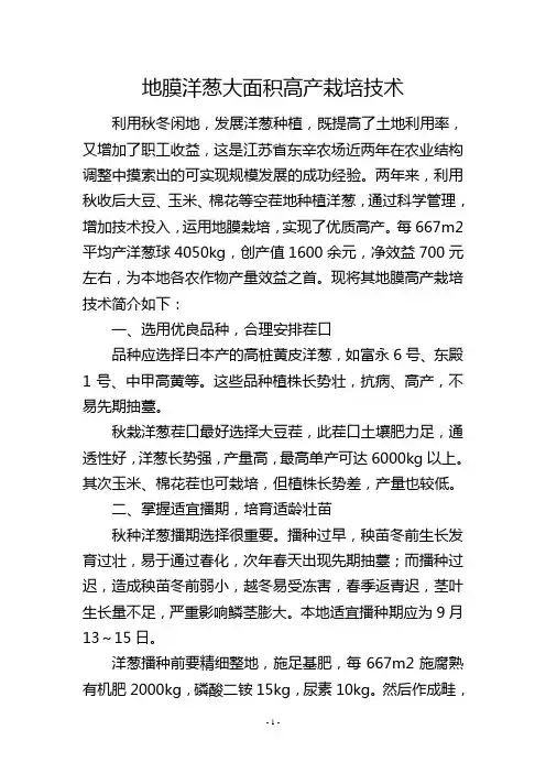 地膜洋葱大面积高产栽培技术