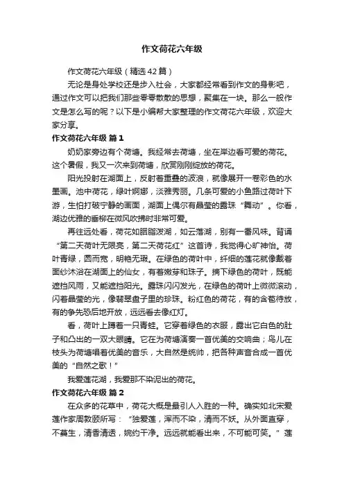 作文荷花六年级（精选42篇）