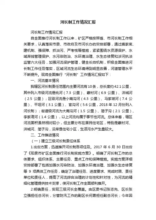 河长制工作情况汇报