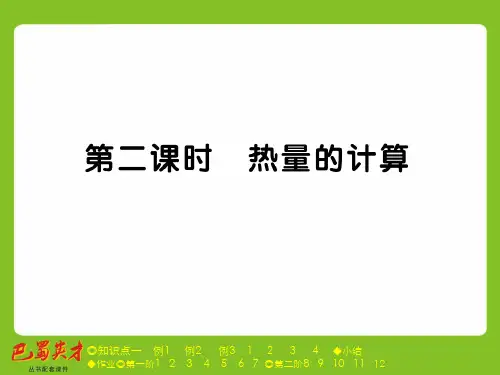 第二节 第二课时 热量的计算