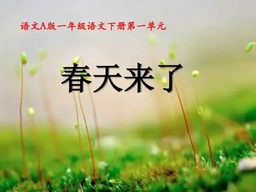 《春天来了》PPT课件2
