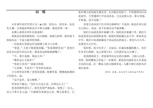 白杨课文文档