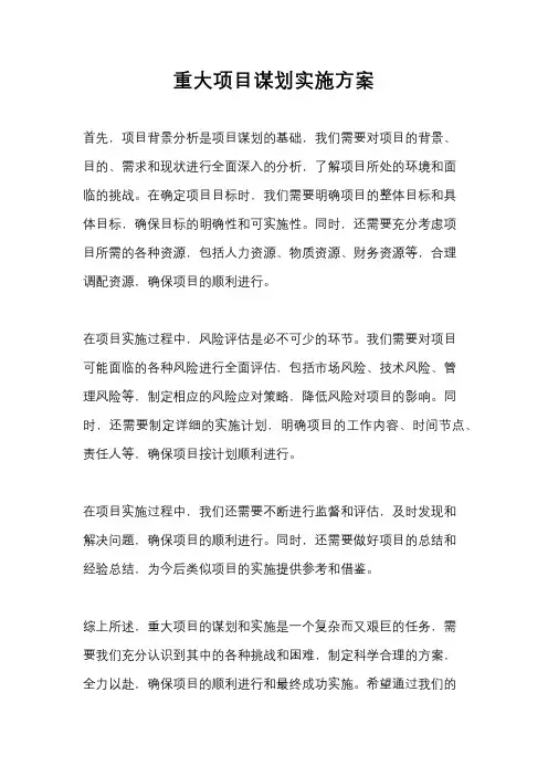 重大项目谋划实施方案
