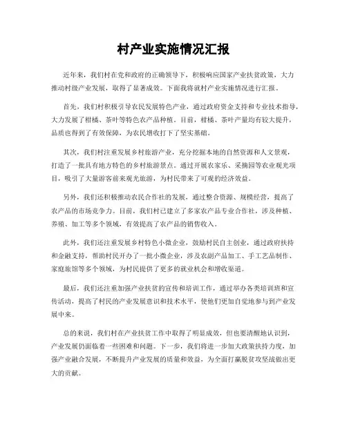 村产业实施情况汇报
