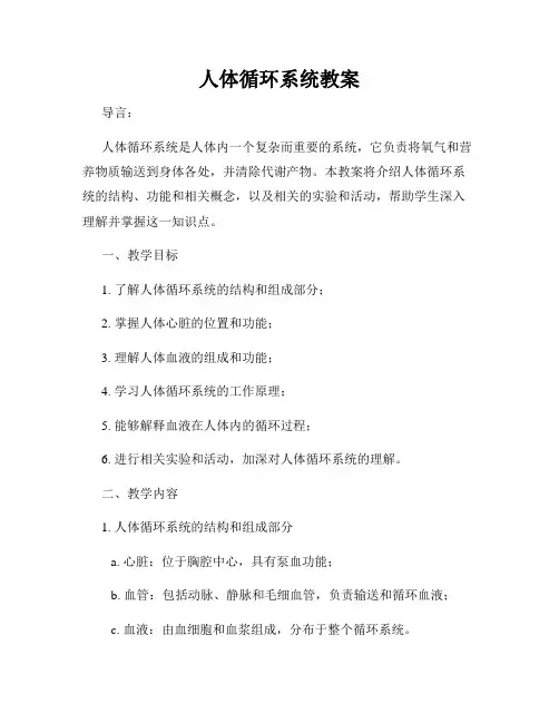 人体循环系统教案