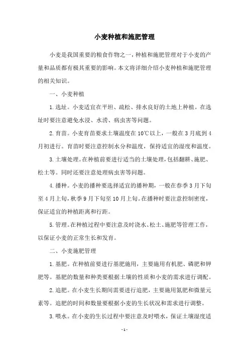 小麦种植和施肥管理