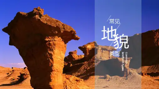 高一地理人教版必修第一册课件41《常见地貌类型》