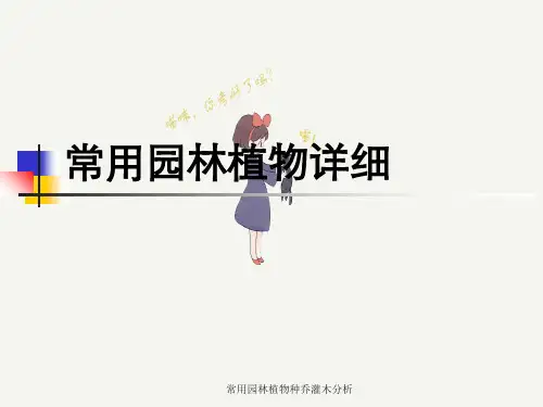 常用园林植物种乔灌木分析
