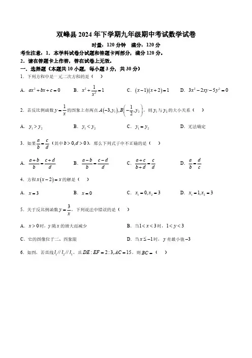 湖南省娄底市双峰县2024-2025学年九年级上学期11月期中数学试题(含答案)
