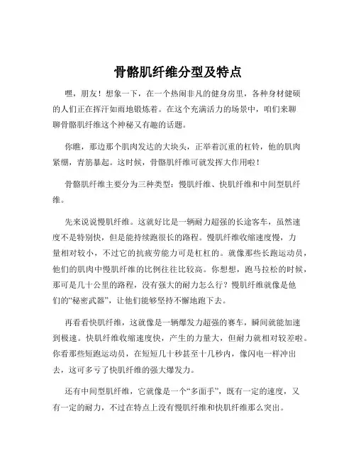 骨骼肌纤维分型及特点