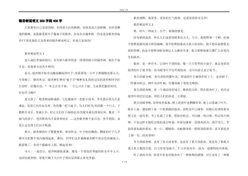 银杏树说明文300字到400字