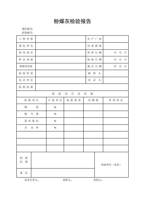 粉煤灰检验报告