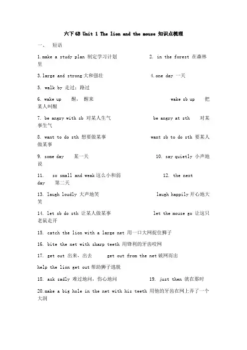 译林牛津英语6B知识点