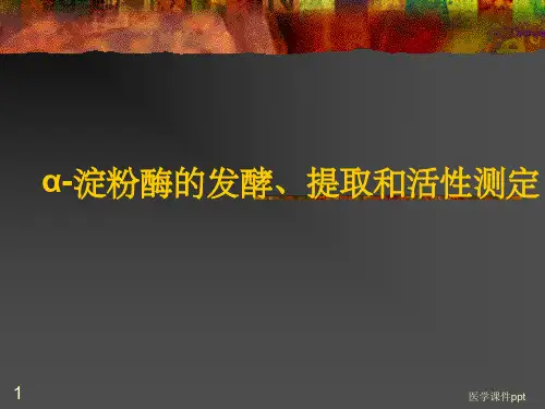 α-淀粉酶的发酵、提取和