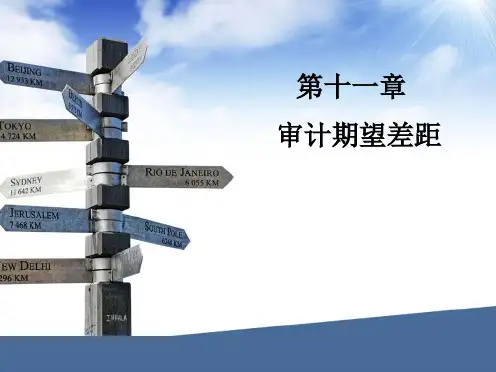 第11章审计期望差距