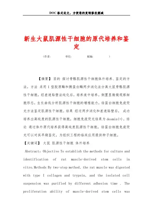 新生大鼠肌源性干细胞的原代培养和鉴定