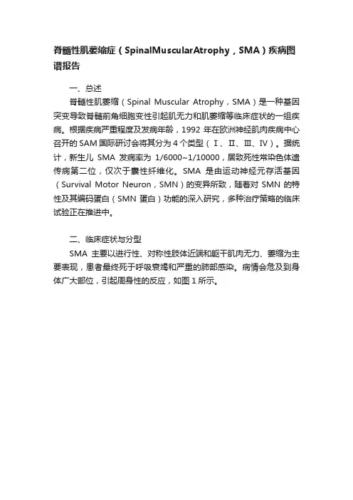 脊髓性肌萎缩症（SpinalMuscularAtrophy，SMA）疾病图谱报告
