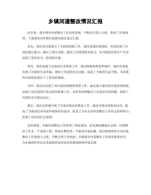 乡镇河道整改情况汇报