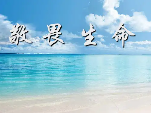 敬畏生命热爱生命课件