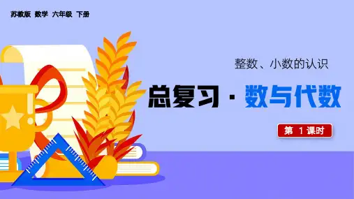 六年级下册总复习数与代数PPT课件