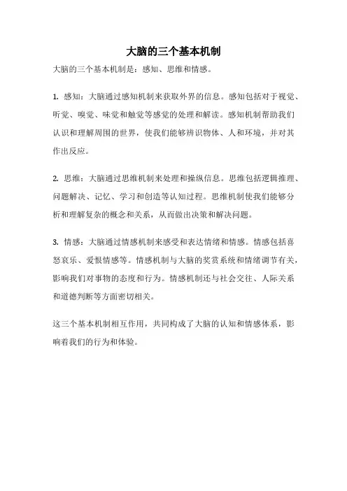 大脑的三个基本机制