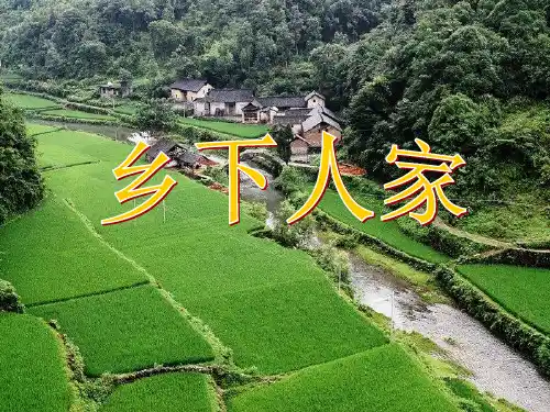 四年级下册语文课件21乡下人家 _人教新课标(共17张PPT)