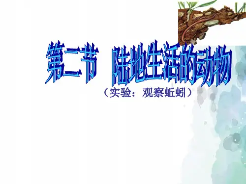 人教版生物-八年级上册-第二节 陆地生活的动物