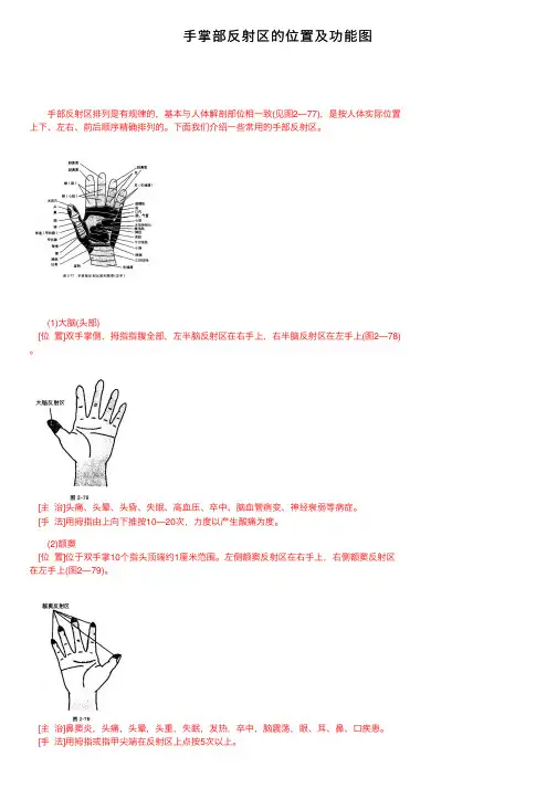 手掌部反射区的位置及功能图