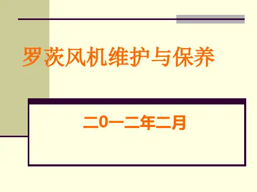 罗茨风机培训材料