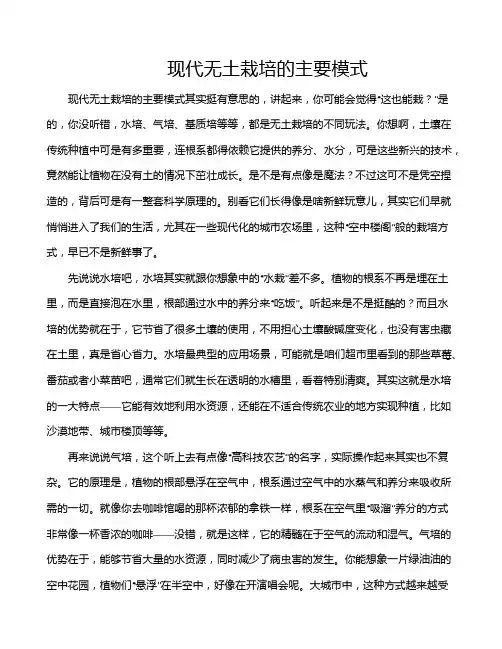 现代无土栽培的主要模式
