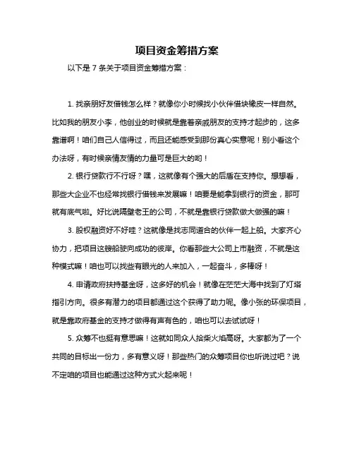 项目资金筹措方案