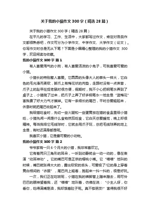 关于我的小猫作文300字（精选28篇）