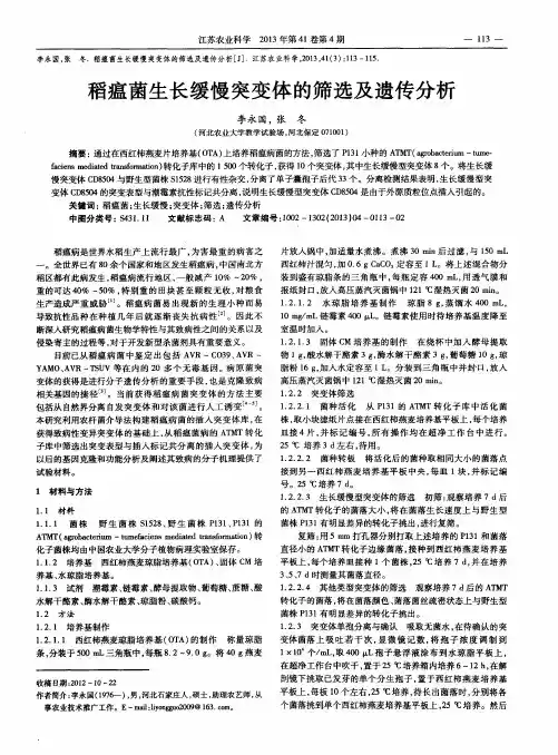 稻瘟菌生长缓慢突变体的筛选及遗传分析