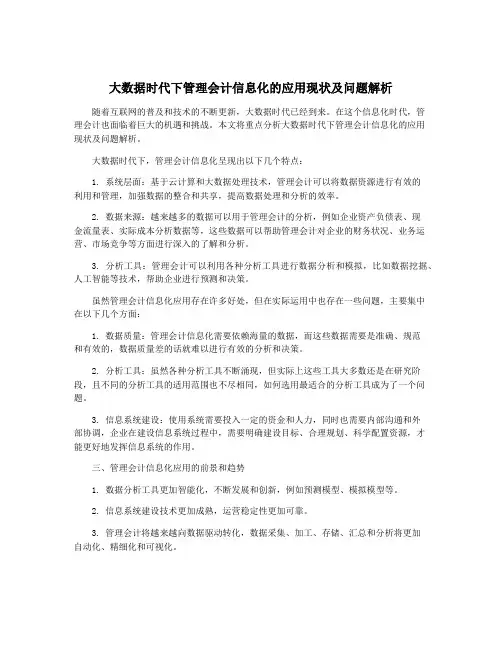 大数据时代下管理会计信息化的应用现状及问题解析