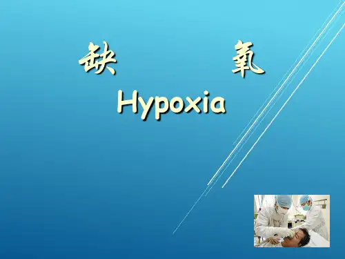 缺氧高教版——【病理生理学 精品讲义】