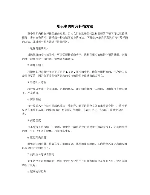 夏天多肉叶片扦插方法