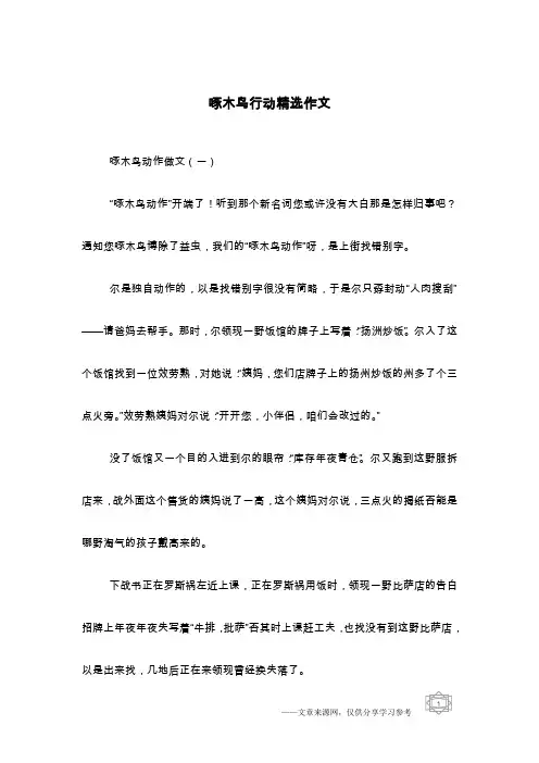啄木鸟行动精选作文