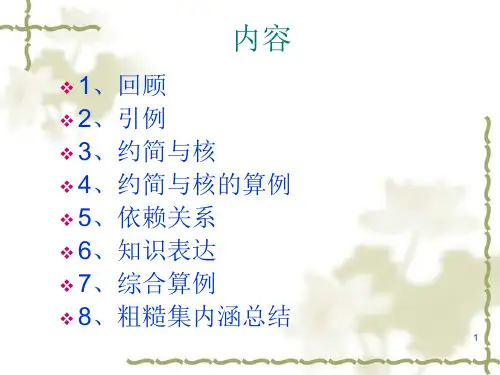 第4讲粗糙集理论决策规则