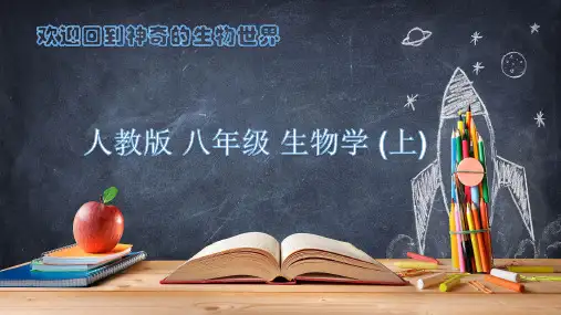 社会行为ppt课件