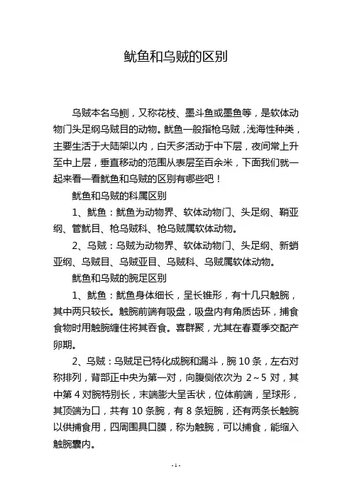 鱿鱼和乌贼的区别