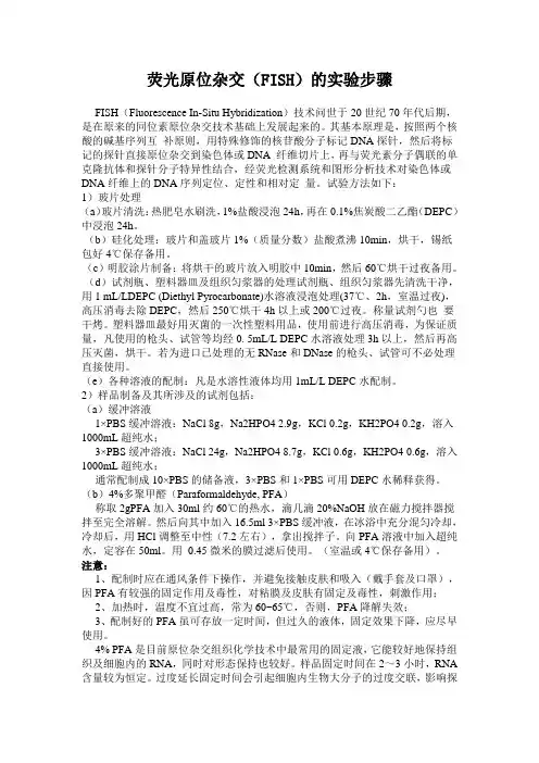 原位杂交实验