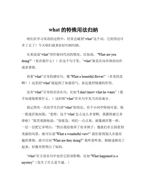 what的特殊用法归纳
