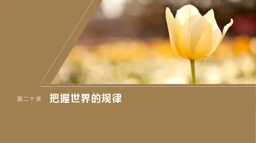 2024届高考一轮复习政治课件(部编版江苏专用)：用对立统一的观点看问题