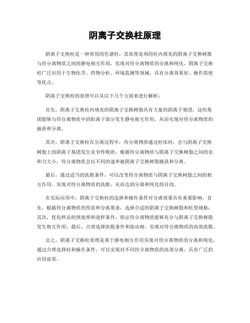 阴离子交换柱原理