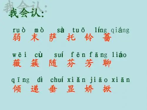 7、我不是最弱小的
